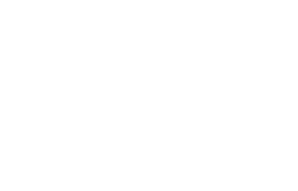 Proyecto FES